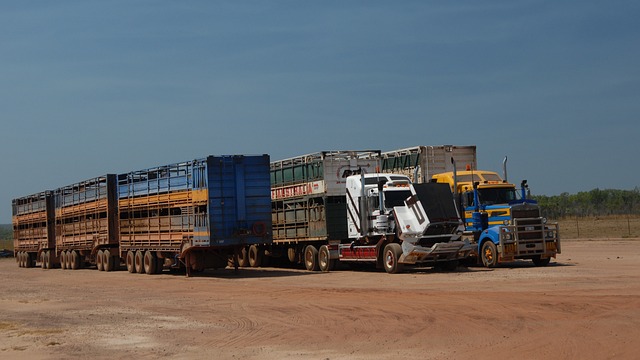 Kooiaap transport: flexibiliteit en efficiëntie in logistiek